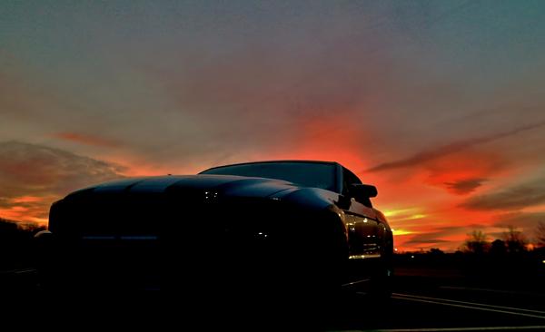 2010-2014 Ford Mustang S-197 Gen II Lets see your latest Pics PHOTO GALLERY-sam_4413-copy-2-.jpg