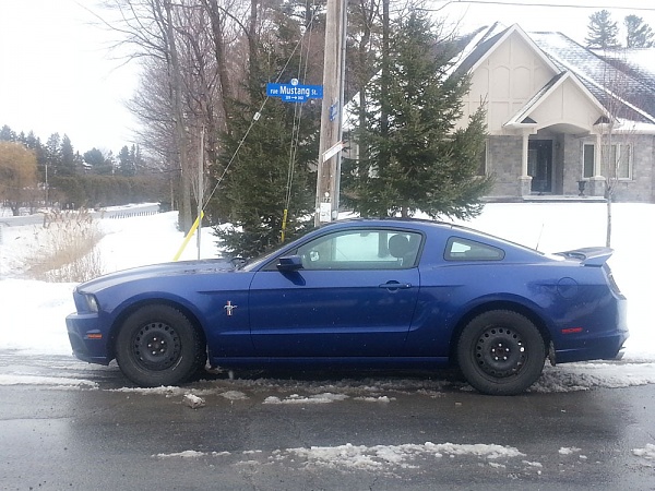 2010-2014 Ford Mustang S-197 Gen II Lets see your latest Pics PHOTO GALLERY-mustang_st_zps4y5txmgs.jpg