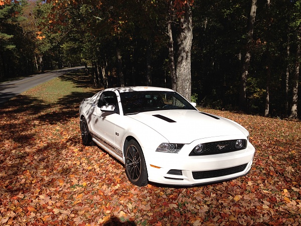 Mustang Club &amp; National Show-img_2213.jpg