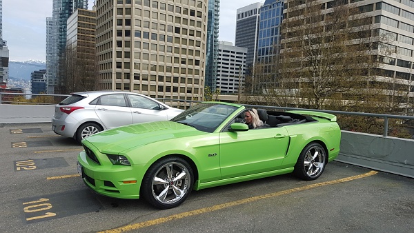 2010-2014 Ford Mustang S-197 Gen II Lets see your latest Pics PHOTO GALLERY-20160403_132424_zpszs4q85br.jpg
