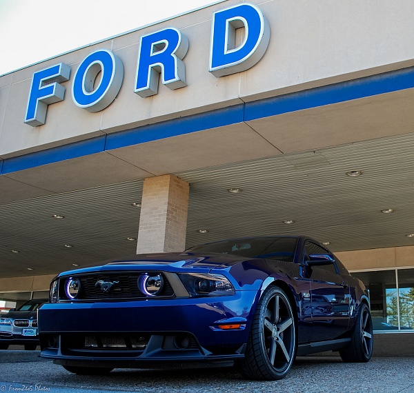2010-2014 Ford Mustang S-197 Gen II Lets see your latest Pics PHOTO GALLERY-dsc_0915.jpg