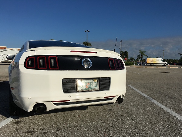 2010-2014 Ford Mustang S-197 Gen II Lets see your latest Pics PHOTO GALLERY-img_3579.jpg