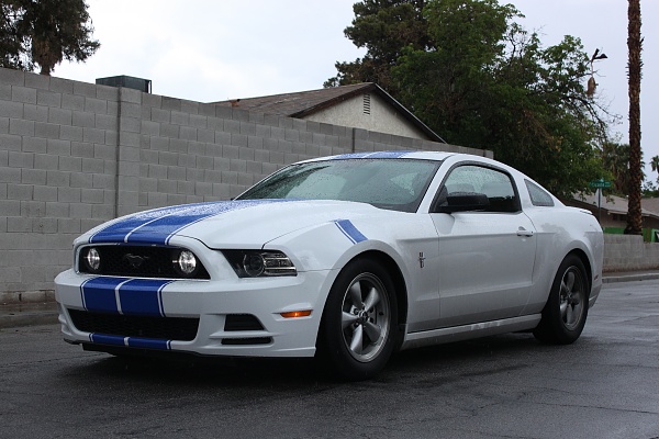 2010-2014 Ford Mustang S-197 Gen II Lets see your latest Pics PHOTO GALLERY-stang.jpg