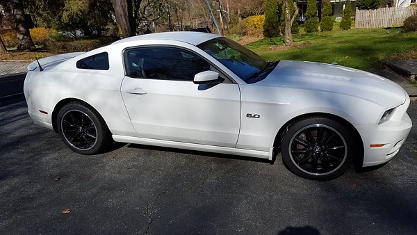 2010-2014 Ford Mustang S-197 Gen II Lets see your latest Pics PHOTO GALLERY-13015183_10106247281434809_7403821686058980612_n_c6196114bb416ce419fa061574be9145c15ea31b.jpg
