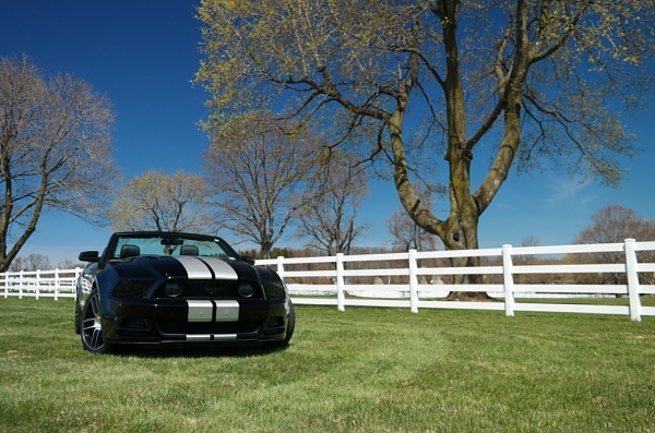 2010-2014 Ford Mustang S-197 Gen II Lets see your latest Pics PHOTO GALLERY-sam_4693.jpg
