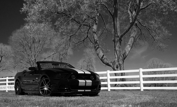 2010-2014 Ford Mustang S-197 Gen II Lets see your latest Pics PHOTO GALLERY-sam_4695-copy-2-.jpg