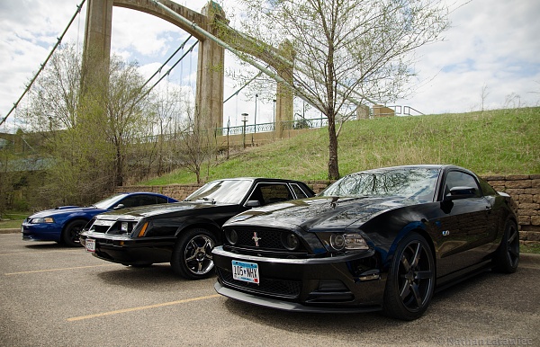 2010-2014 Ford Mustang S-197 Gen II Lets see your latest Pics PHOTO GALLERY-dsc_0029.jpg