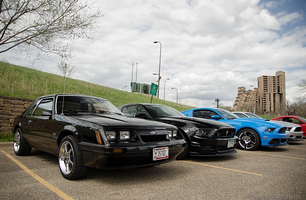 2010-2014 Ford Mustang S-197 Gen II Lets see your latest Pics PHOTO GALLERY-dsc_0013.jpg