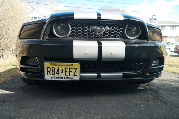2010-2014 Ford Mustang S-197 Gen II Lets see your latest Pics PHOTO GALLERY-sam_4399.jpg