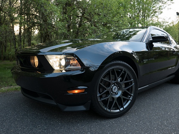 2010-2014 Ford Mustang S-197 Gen II Lets see your latest Pics PHOTO GALLERY-113.jpg