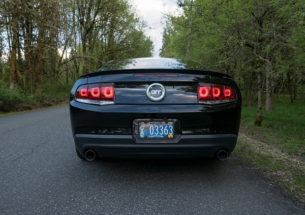 2010-2014 Ford Mustang S-197 Gen II Lets see your latest Pics PHOTO GALLERY-115.jpg