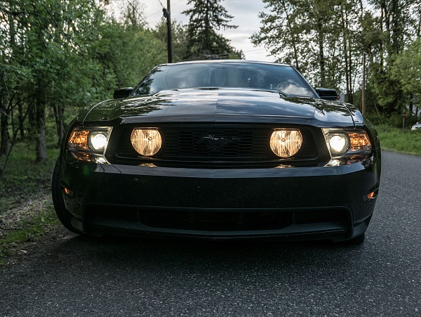 2010-2014 Ford Mustang S-197 Gen II Lets see your latest Pics PHOTO GALLERY-117.jpg