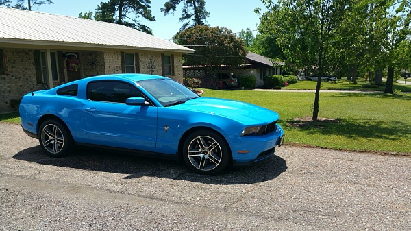 2010-2014 Ford Mustang S-197 Gen II Lets see your latest Pics PHOTO GALLERY-photo404.jpg