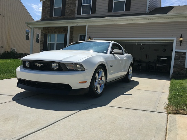 2010-2014 Ford Mustang S-197 Gen II Lets see your latest Pics PHOTO GALLERY-photo86.jpg