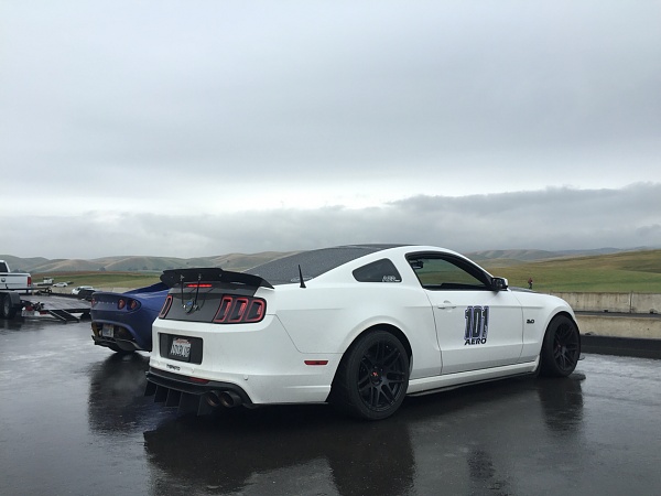 2010-2014 Ford Mustang S-197 Gen II Lets see your latest Pics PHOTO GALLERY-photo344.jpg