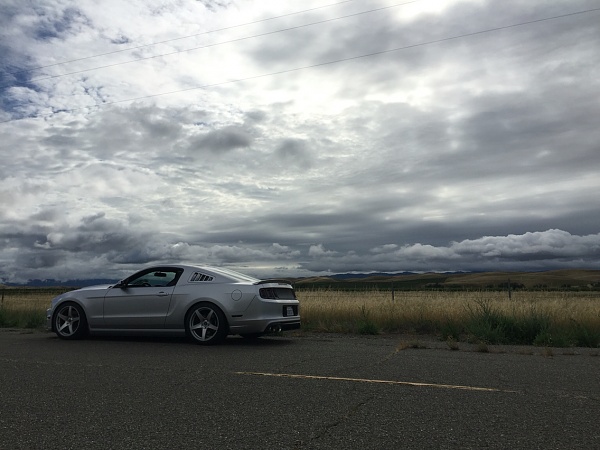 2010-2014 Ford Mustang S-197 Gen II Lets see your latest Pics PHOTO GALLERY-photo769.jpg