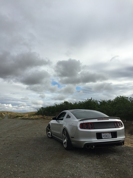 2010-2014 Ford Mustang S-197 Gen II Lets see your latest Pics PHOTO GALLERY-photo506.jpg