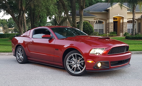 Someone backed into my car!!!-roush.jpg