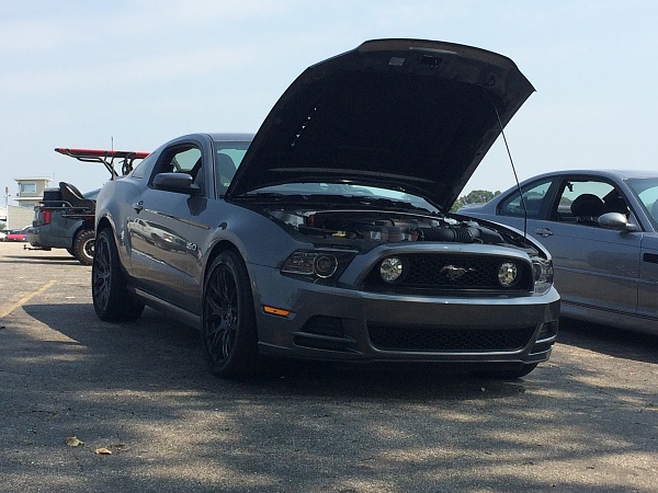 2010-2014 Ford Mustang S-197 Gen II Lets see your latest Pics PHOTO GALLERY-grattan-2015-016.jpg