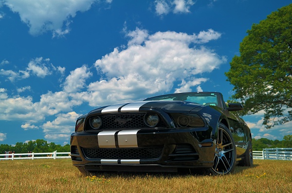 2010-2014 Ford Mustang S-197 Gen II Lets see your latest Pics PHOTO GALLERY-sam_5854-copy.jpg