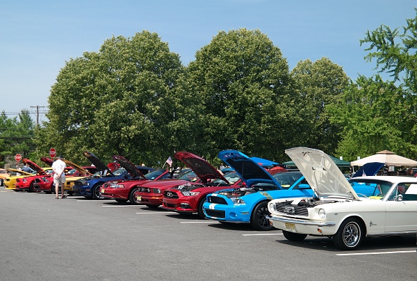 2010-2014 Ford Mustang S-197 Gen II Lets see your latest Pics PHOTO GALLERY-sam_5955.jpg