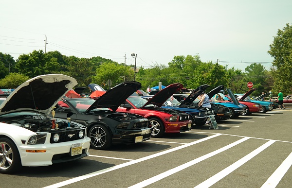 2010-2014 Ford Mustang S-197 Gen II Lets see your latest Pics PHOTO GALLERY-sam_5957.jpg