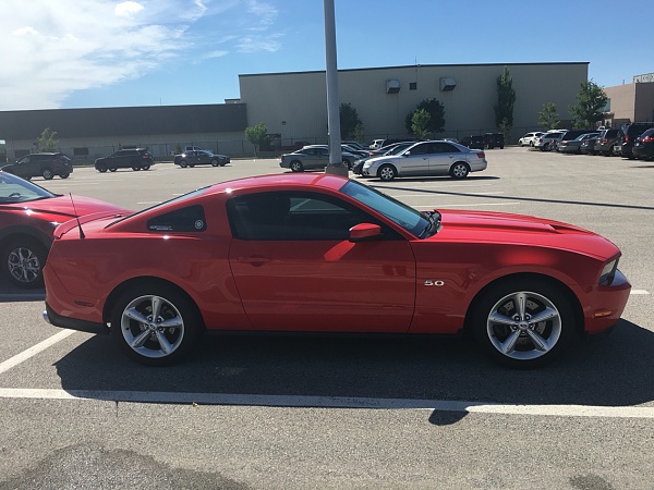 2010-2014 Ford Mustang S-197 Gen II Lets see your latest Pics PHOTO GALLERY-photo982.jpg