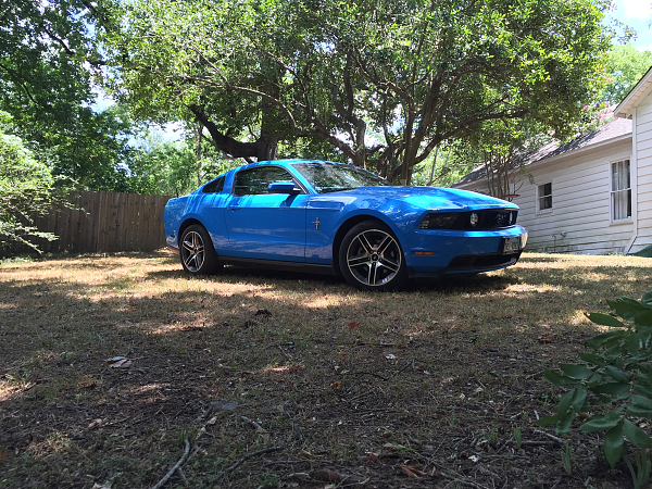 2010-2014 Ford Mustang S-197 Gen II Lets see your latest Pics PHOTO GALLERY-image-3863559736.png