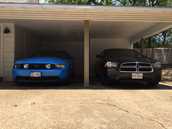 2010-2014 Ford Mustang S-197 Gen II Lets see your latest Pics PHOTO GALLERY-image-246359610.png