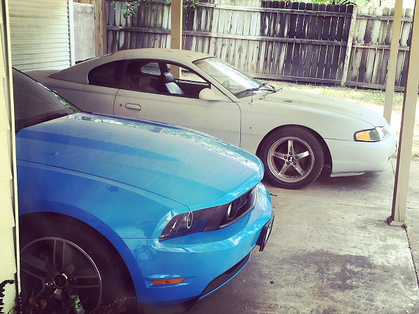 2010-2014 Ford Mustang S-197 Gen II Lets see your latest Pics PHOTO GALLERY-image-3310123488.png