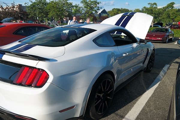 2010-2014 Ford Mustang S-197 Gen II Lets see your latest Pics PHOTO GALLERY-sam_6499.jpg