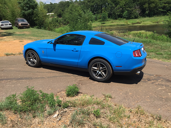 2010-2014 Ford Mustang S-197 Gen II Lets see your latest Pics PHOTO GALLERY-image-949947765.png