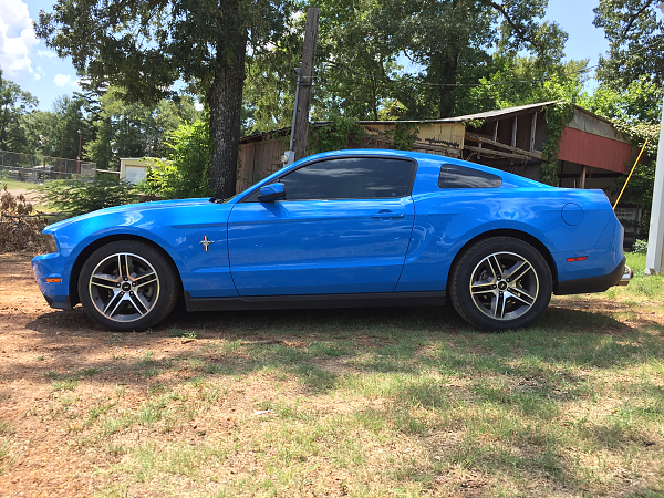 2010-2014 Ford Mustang S-197 Gen II Lets see your latest Pics PHOTO GALLERY-image-2192060668.png