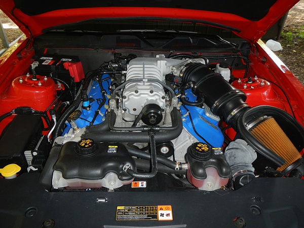 2010-2014 Ford Mustang S-197 Gen II Lets see your latest Pics PHOTO GALLERY-gt500-engine.jpg