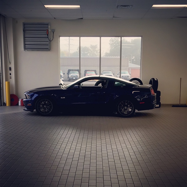 2010-2014 Ford Mustang S-197 Gen II Lets see your latest Pics PHOTO GALLERY-mustang-sarat-10-8-2016.jpg