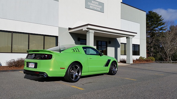 2010-2014 Ford Mustang S-197 Gen II Lets see your latest Pics PHOTO GALLERY-svt1.jpg