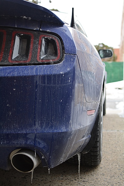 2010-2014 Ford Mustang S-197 Gen II Lets see your latest Pics PHOTO GALLERY-dsc_0530.jpg