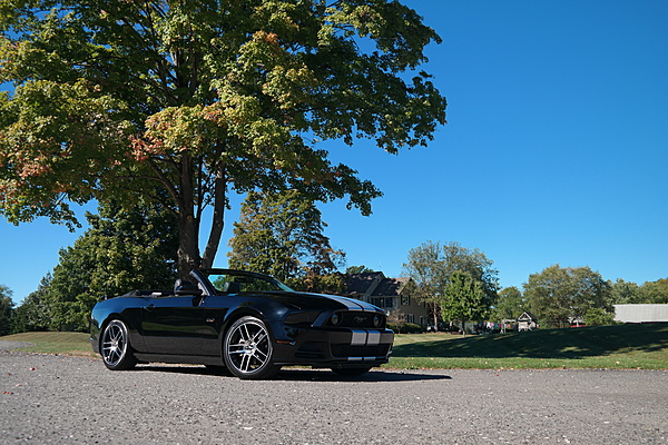 2010-2014 Ford Mustang S-197 Gen II Lets see your latest Pics PHOTO GALLERY-sam_7083.jpg