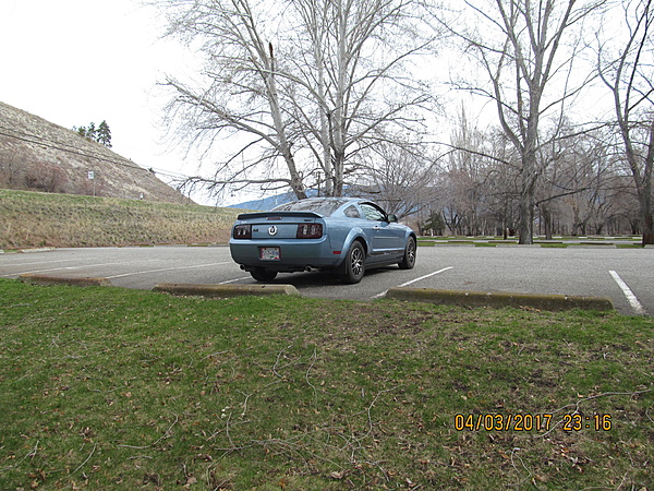 2010-2014 Ford Mustang S-197 Gen II Lets see your latest Pics PHOTO GALLERY-img_2013.jpg
