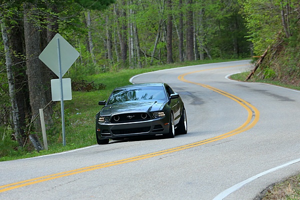 2010-2014 Ford Mustang S-197 Gen II Lets see your latest Pics PHOTO GALLERY-dragon-1.jpg