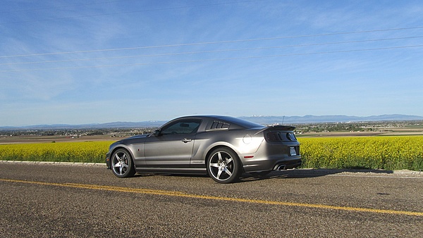 2010-2014 Ford Mustang S-197 Gen II Lets see your latest Pics PHOTO GALLERY-img_4337sb.jpg