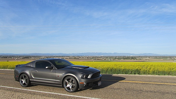 2010-2014 Ford Mustang S-197 Gen II Lets see your latest Pics PHOTO GALLERY-img_4334b.jpg