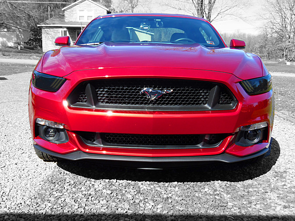 2010-2014 Ford Mustang S-197 Gen II Lets see your latest Pics PHOTO GALLERY-sam_desat.jpg