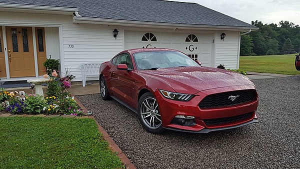 2010-2014 Ford Mustang S-197 Gen II Lets see your latest Pics PHOTO GALLERY-13886431_10153777877807215_1325860970606647389_n.jpg