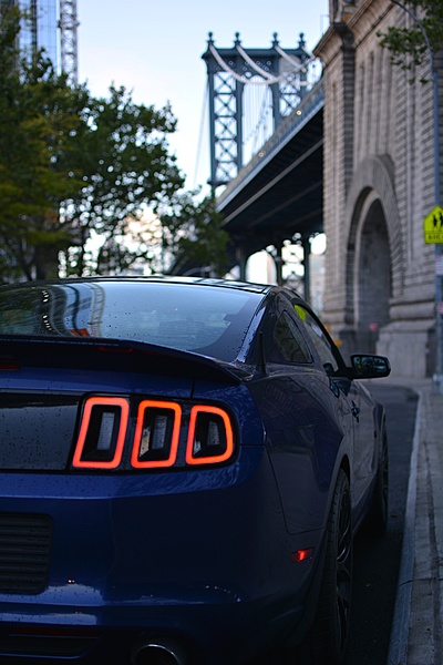2010-2014 Ford Mustang S-197 Gen II Lets see your latest Pics PHOTO GALLERY-dsc_0600.jpg