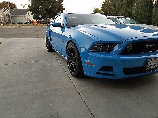 2010-2014 Ford Mustang S-197 Gen II Lets see your latest Pics PHOTO GALLERY-2.jpg