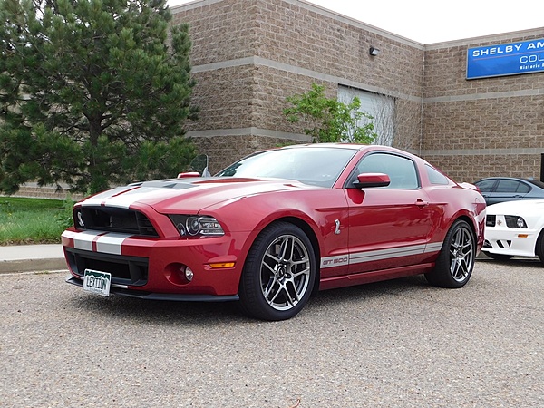 2010-2014 Ford Mustang S-197 Gen II Lets see your latest Pics PHOTO GALLERY-snake_1.jpg