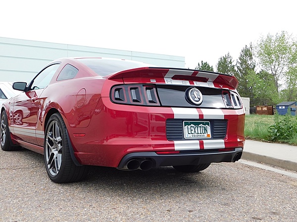 2010-2014 Ford Mustang S-197 Gen II Lets see your latest Pics PHOTO GALLERY-snake_2.jpg