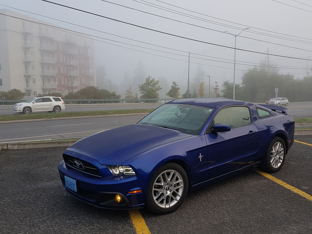 Name:  mustang_20170108a_zpsefvvm2ti.jpg
Views: 90
Size:  140.3 KB