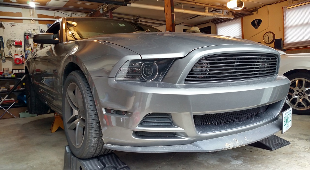 Name:  20151227_jacks1.jpg
Views: 85
Size:  352.1 KB